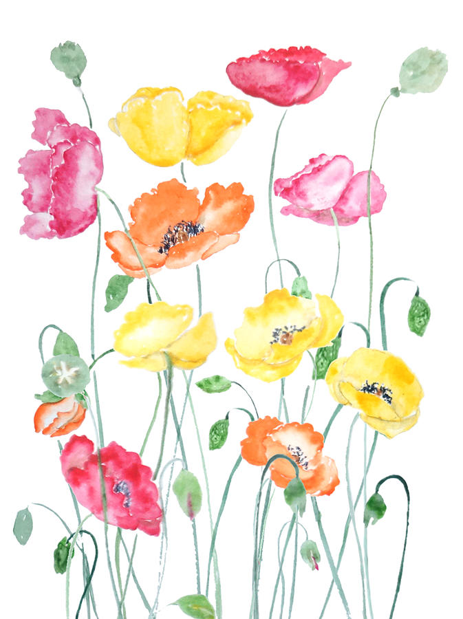 Orange Yellow And Red Poppy Watercolor Painting by Color Color - Fine ...