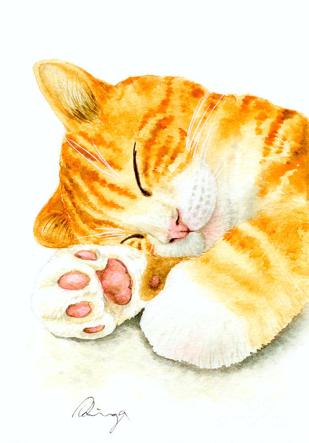Cat Drawing - Orange Yellow Sleeping Tabby Cat Watercolor Painting by Ringo Lee