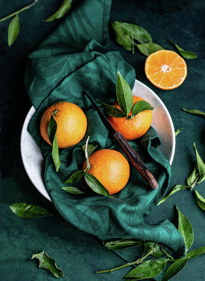 Oranges Fruit Bowl Design Photograph by Sandi OReilly