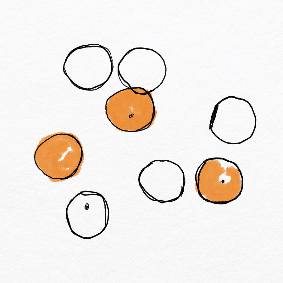 Fruit Digital Art - Oranges Sketch- Art by Linda Woods by Linda Woods