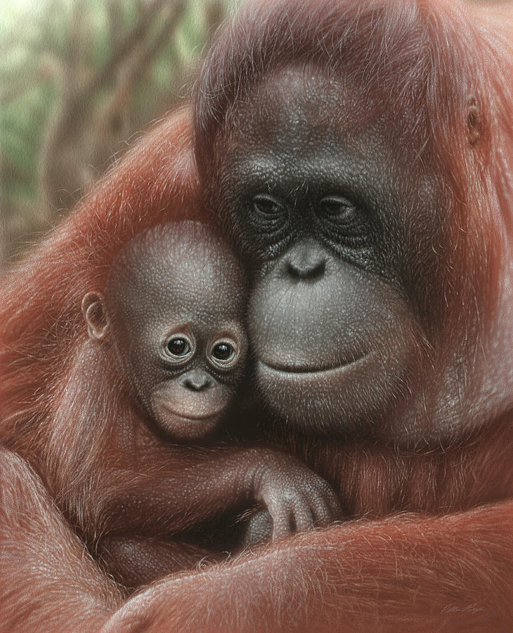 Orangutan Mother and Baby - Snuggled Pastel by Collin Bogle