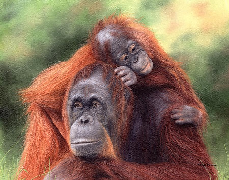 Orangutans Painting Painting by Rachel Stribbling