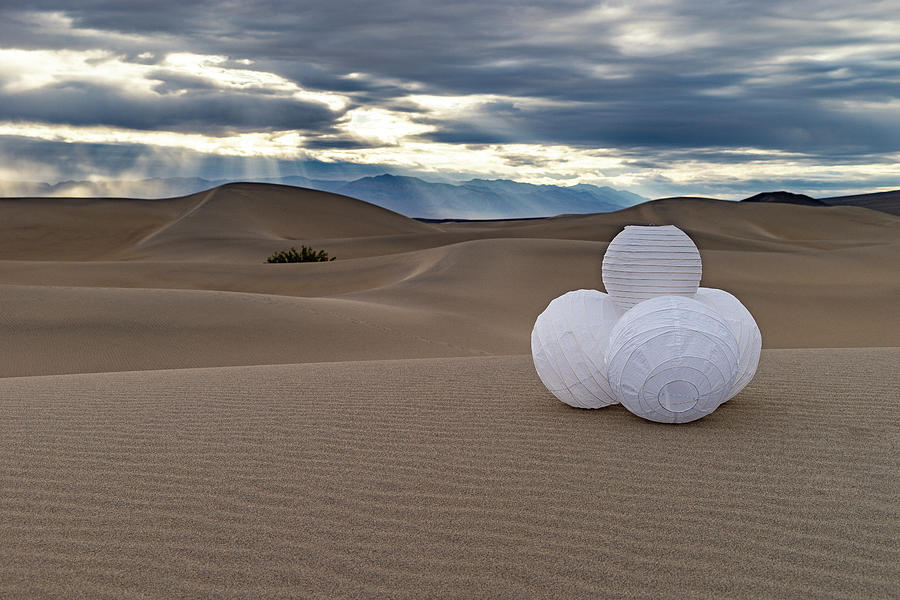 Orbs in Dunes #506 Photograph by Marian Tagliarino