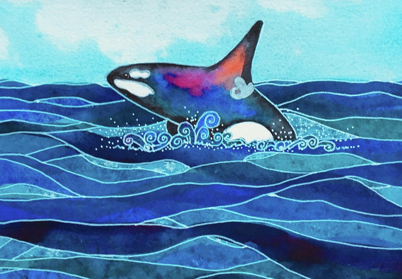 Orca Emerging Painting by Darci Truax - Fine Art America