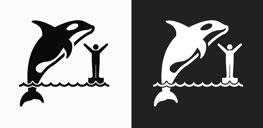 Orca Icon on Black and White Vector Backgrounds Drawing by Bubaone