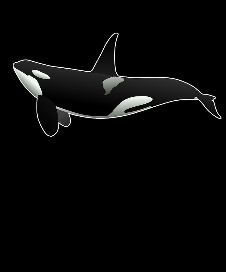 Orca Killer Whale Digital Art by Flippin Sweet Gear