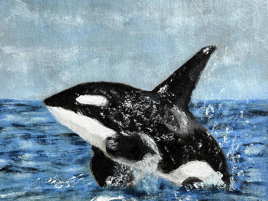 Orca Painting by Mikayla Ruth Reed