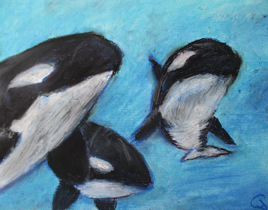 Orca Tides Painting by Jen Shearer
