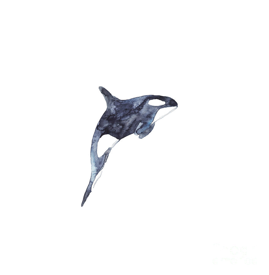 https://images.fineartamerica.com/images/artworkimages/mediumlarge/3/orca-whale-watercolor-art-maryna-salagub.jpg