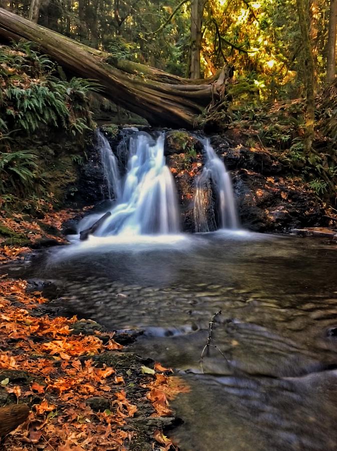 Orcas Island Waterfall Photograph by Jerry Abbott