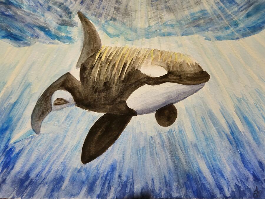 Orcas Light Painting by Angela Brunson Orcas Light Painting by Angela Brunson