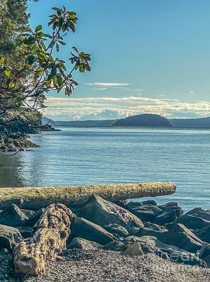 Orcas Island Photograph - Orcas Vibe by William Wyckoff