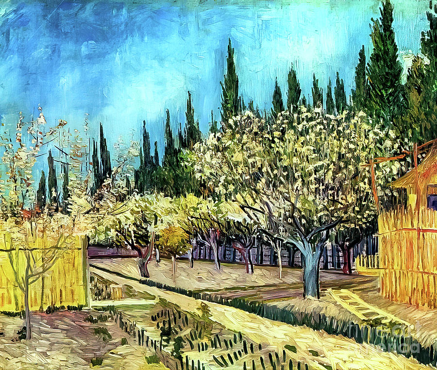 Orchard In Bloom Bordered By Cypresses By Vincent Van Gogh 1888 ...