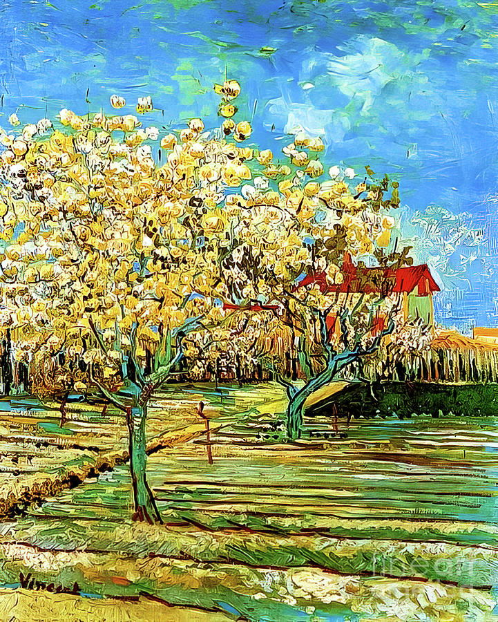 Orchard In Blossom II By Vincent Van Gogh 1888 Painting By Vincent Van ...