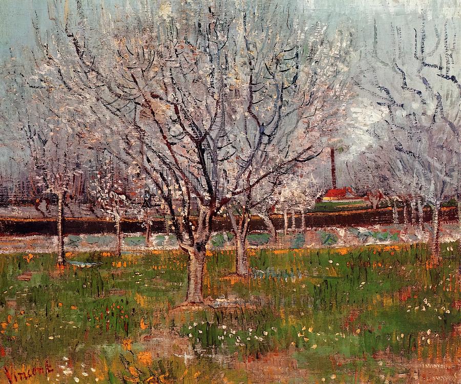 Orchard In Blossom Plum Trees - Vincent Van Gogh Painting By Vincent ...