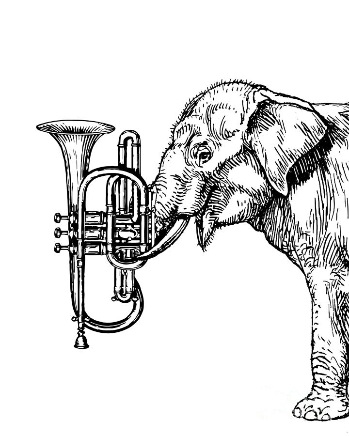 Elephant Digital Art - Orchestra Elephant by Madame Memento