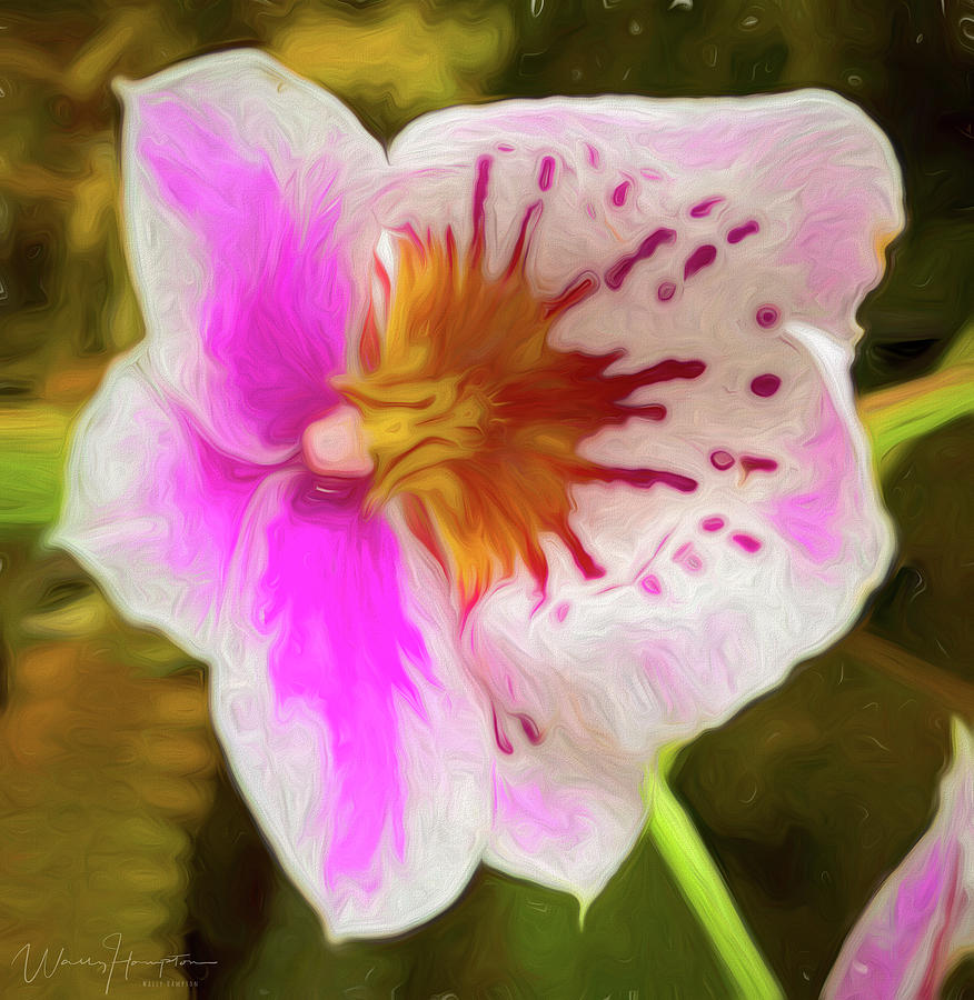 Orchid - 0836 Digital Art by Wally Hampton Orchid - 0836 Digital Art by Wally Hampton