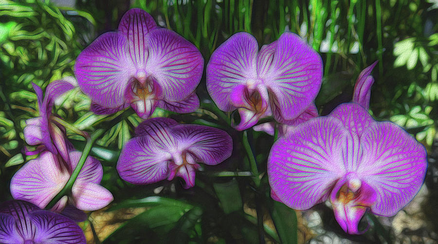 Orchid 100 Photograph by Dawn Eshelman