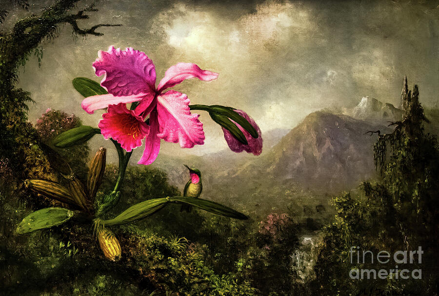 Orchid and Hummingbird near a Mountain Waterfall by Martin Heade Painting by Martin Heade