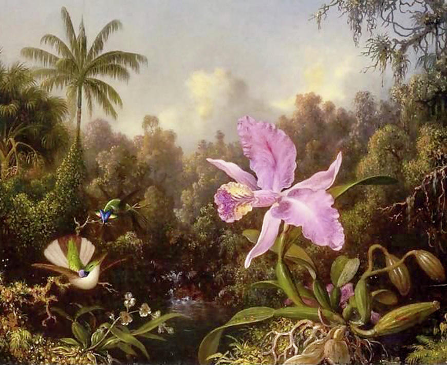 Orchid And Two Hummingburds Painting by Martin Johnson Heade