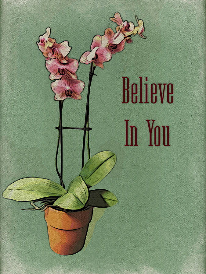 Orchid - Believe In You Photograph by Leslie Montgomery