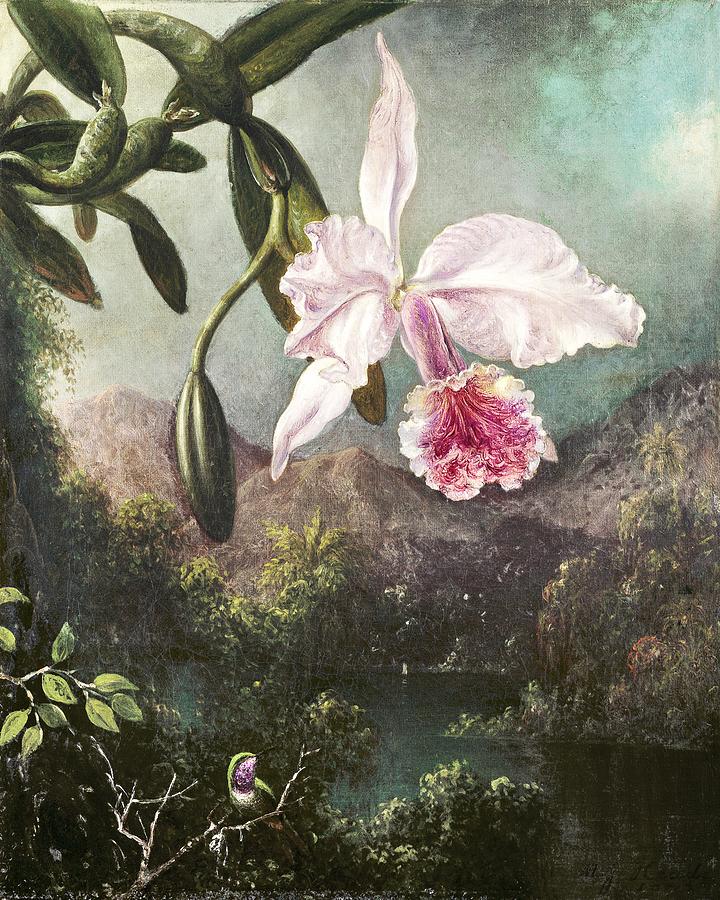 Martin Johnson Heade Painting - Orchid Blossoms 1873 by Martin Johnson Heade by Les Classics