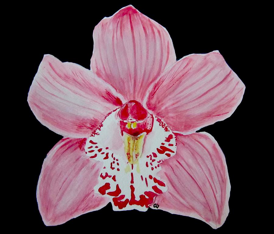 Orchid Painting by Carol Blackhurst - Fine Art America
