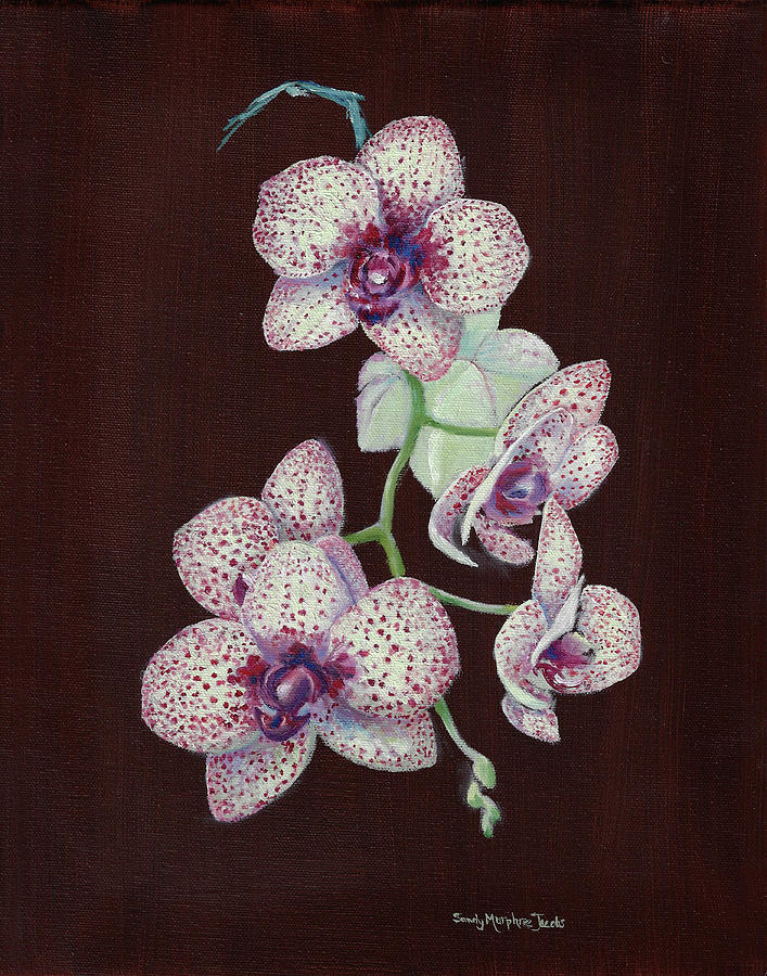 Orchid Cascade Painting by Sandy Murphree Jacobs - Fine Art America