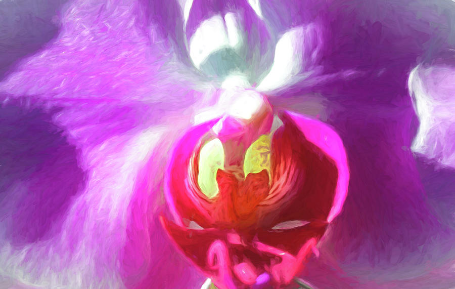 Orchid CEZ Photograph by Alison Frank