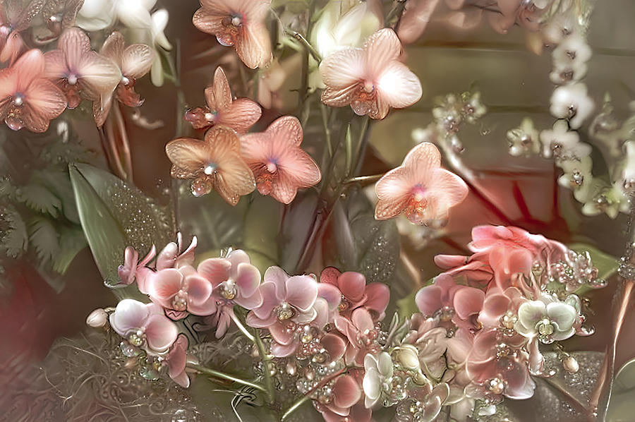 Orchid Elegance Photograph by Debra Kewley