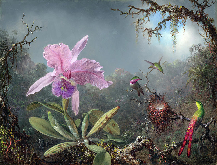 Orchid Flower Digital Art by Long Shot