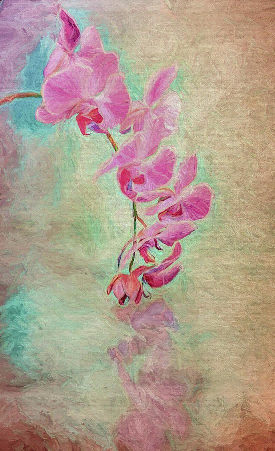 Orchid Impressions Photograph by Kevin Lane