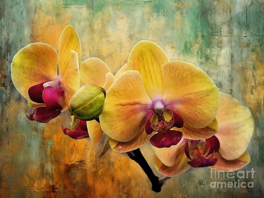 Orchid Impressions Photograph by Bearj B Photo Art