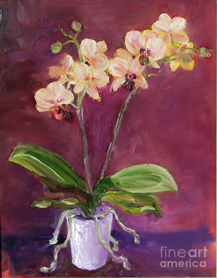 Orchid In A White Pot Painting by Frank Hoeffler
