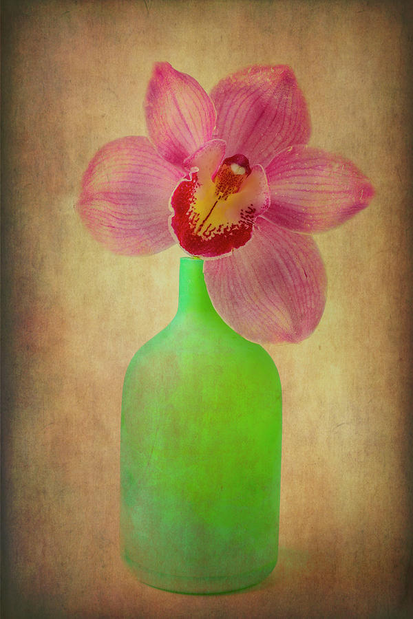 Orchid In Green Vase Photograph by Garry Gay
