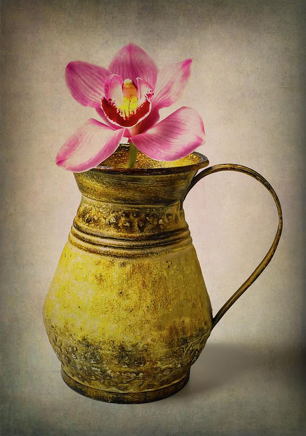 Orchid In Rustic Pitcher Photograph by Garry Gay