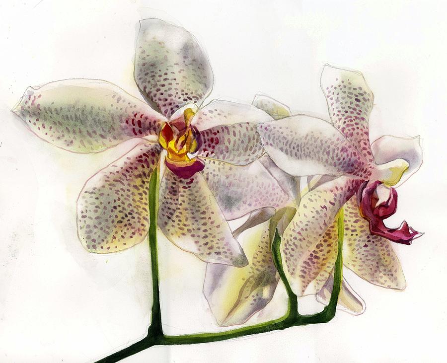 Orchid In White Painting by Alfred Ng