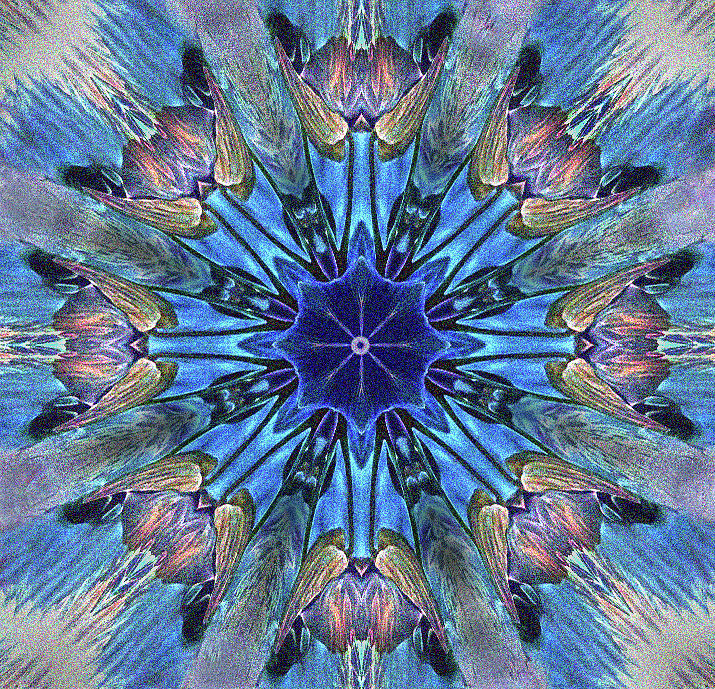 Orchid kaleidoscope  8-sides 1  --- bob-mcdonnell.pixels.com Photograph by Bob McDonnell