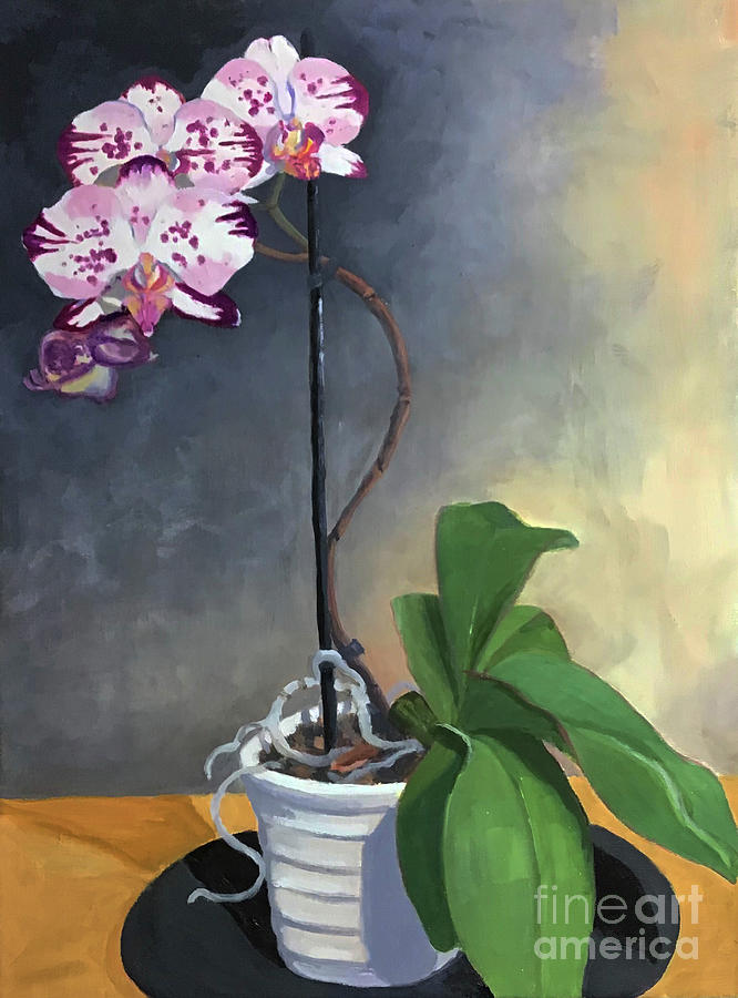 Orchid Linda Boyd Painting by Anne Marie Brown