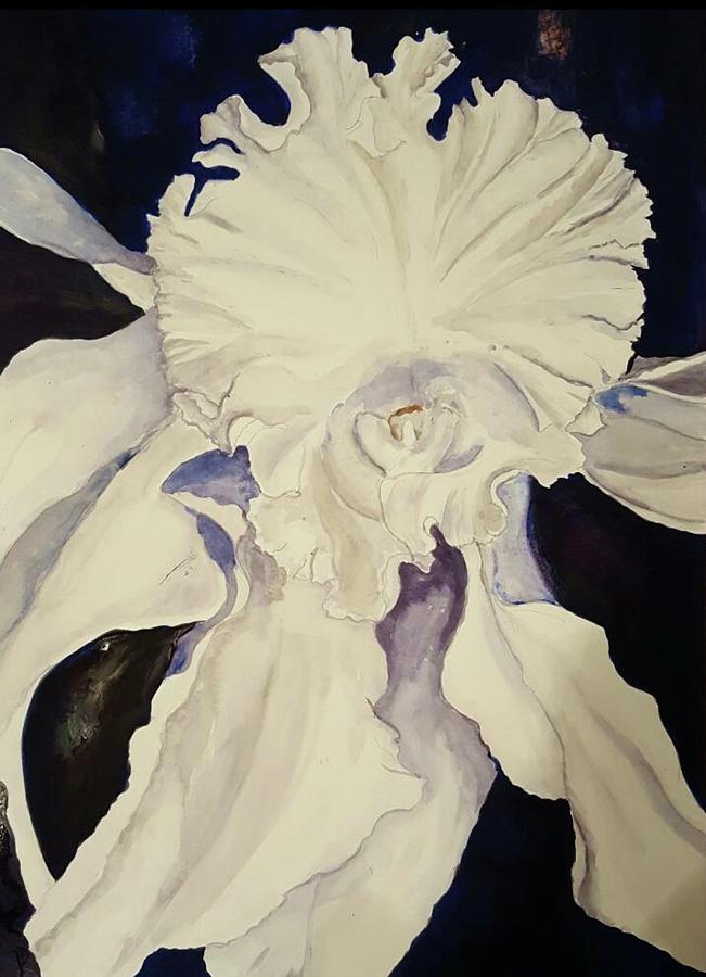 Orchid Painting - Orchid shadows by Mar Hammel