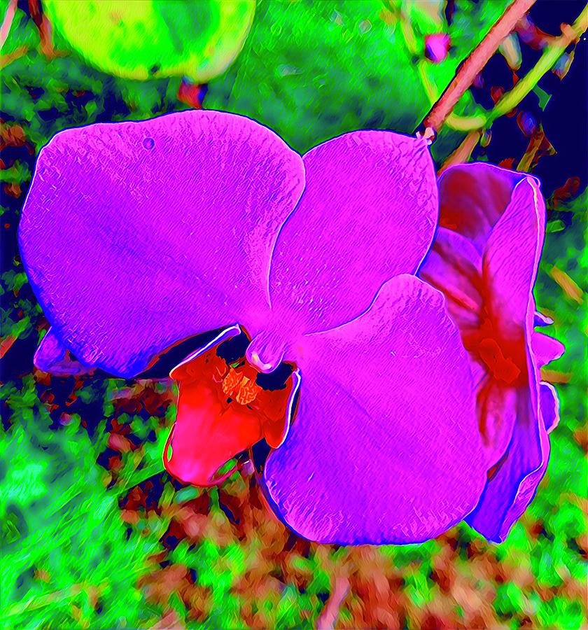 Orchid Synergy Purple Red Aloha  Photograph by Joalene Young