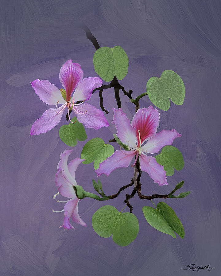 Orchid Tree  Digital Art by M Spadecaller