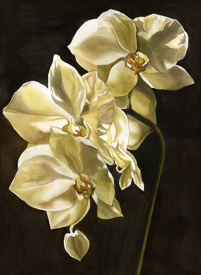Orchid Painting - Orchid Under The Moonlight by Alfred Ng