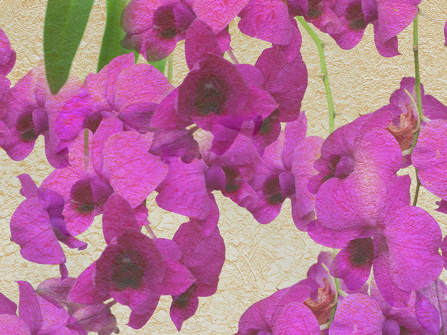 Orchid With Texture Photograph