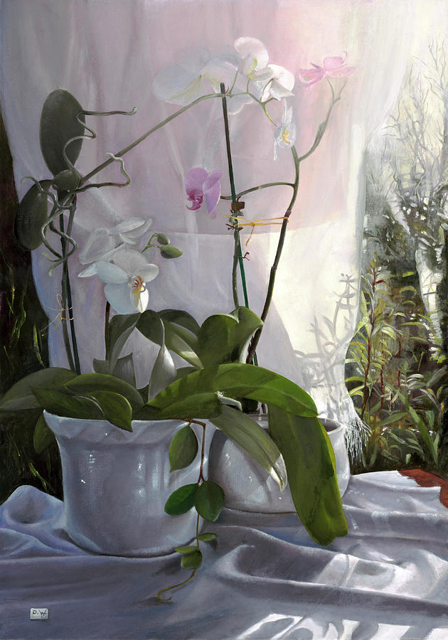 Orchidee Sfumate Painting