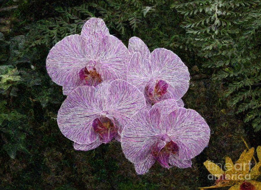 Impressionism Photograph - Orchids 1 by Jean Bernard Roussilhe