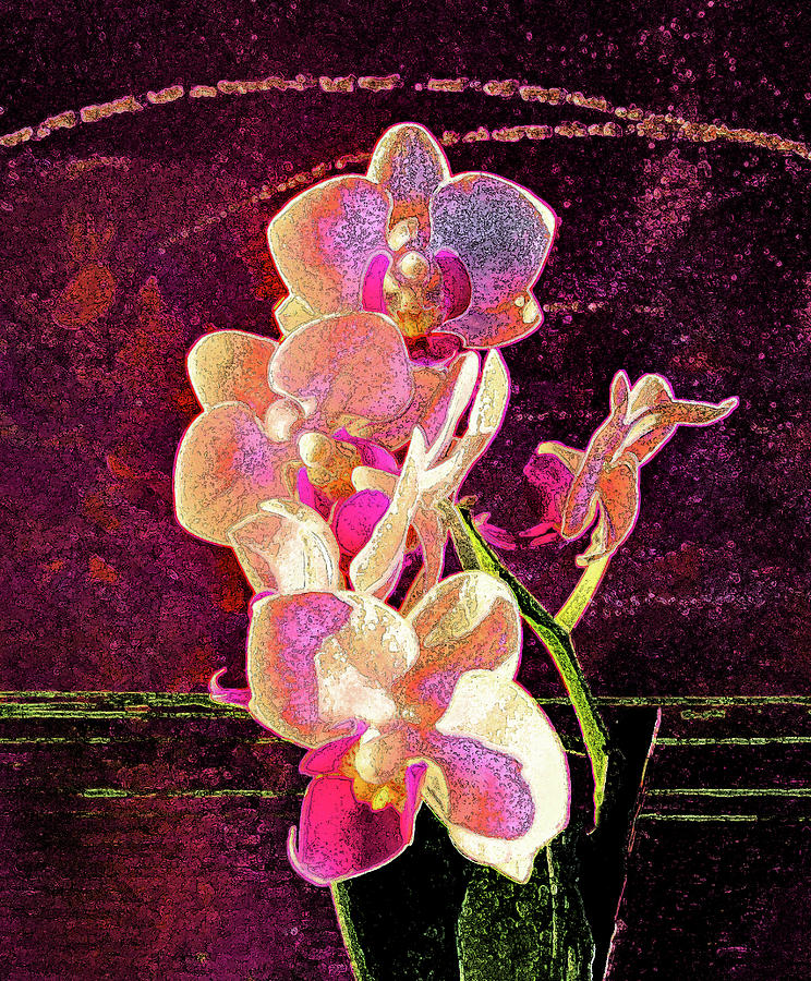 Orchids 402 Photograph by Corinne Carroll