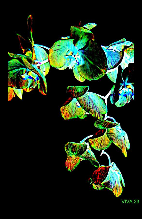 Orchids - A  Fantasy Digital Art by VIVA Anderson
