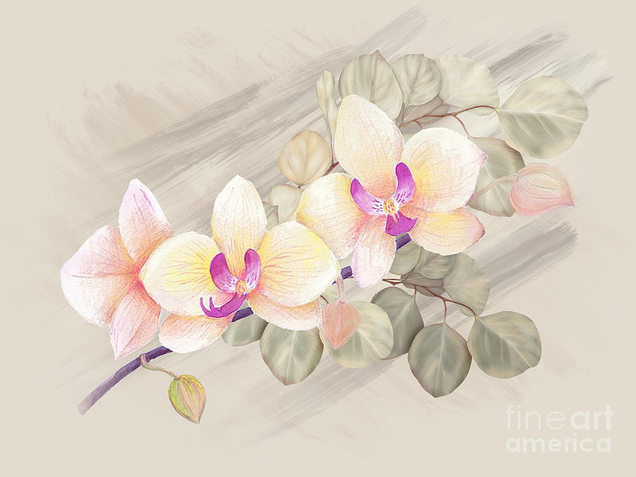 Orchids and Eucalyptus Digital Art by J Marielle