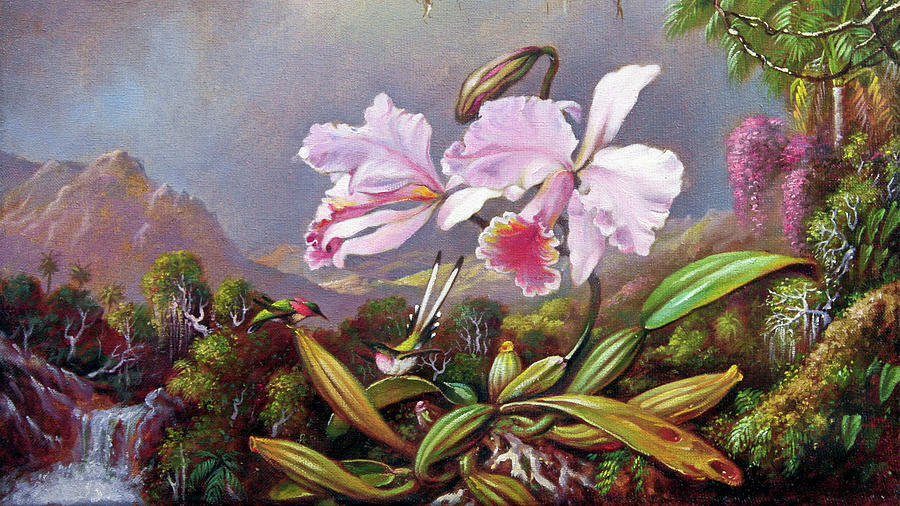 Orchids and Hummingbirds 2 Painting by Martin Johnson Heade